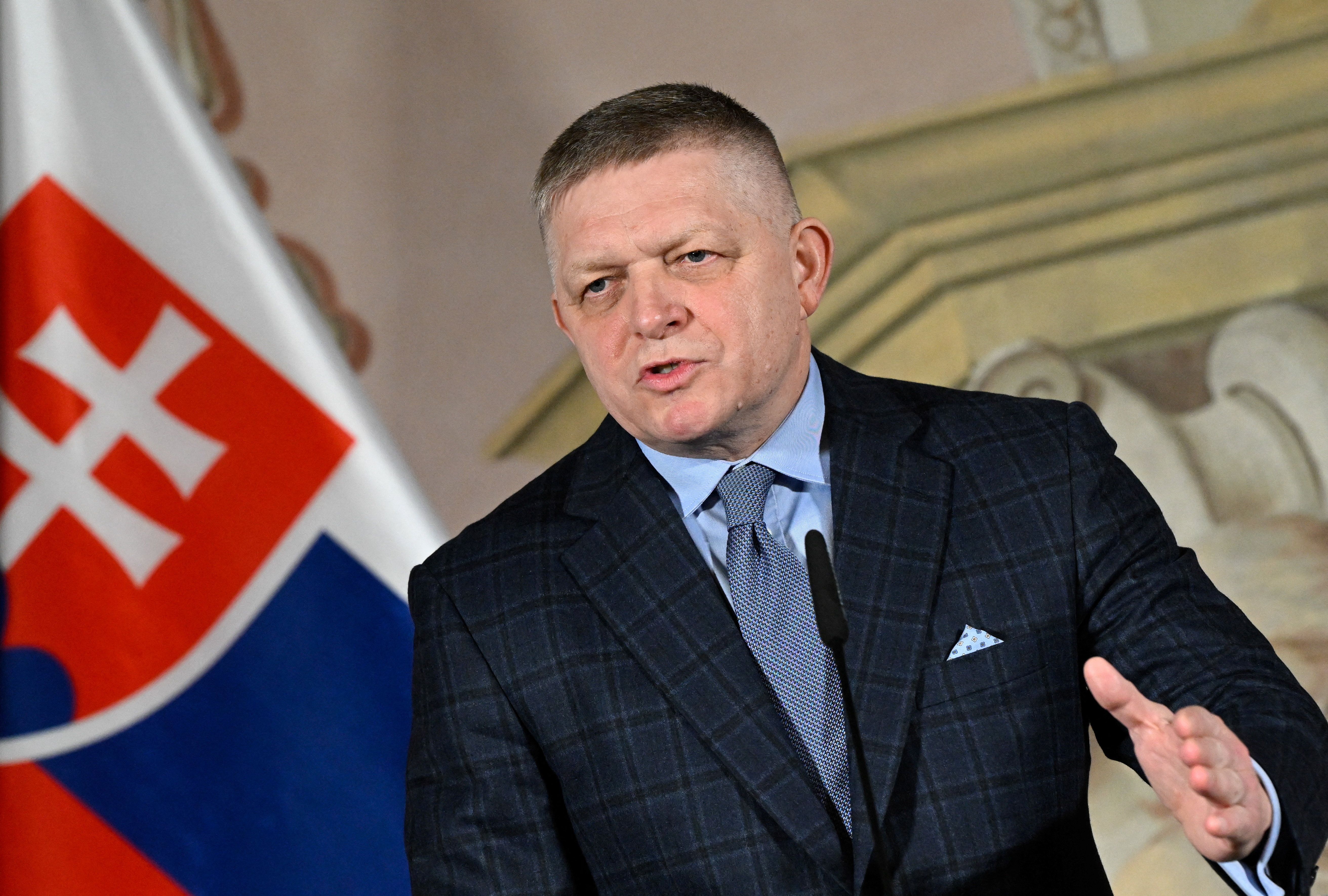 Загадочное существо найдено на берегу после бури