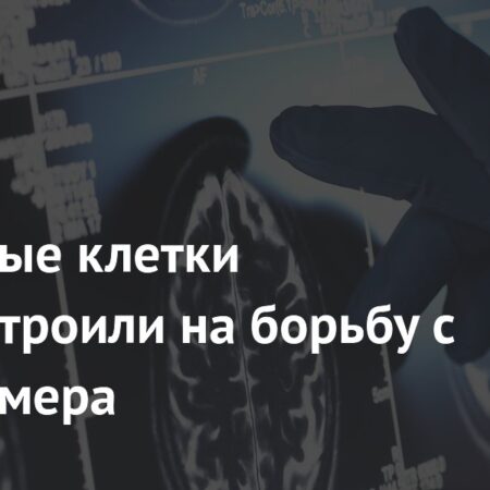 Ученые адаптировали иммунотерапию рака для лечения болезни Альцгеймера