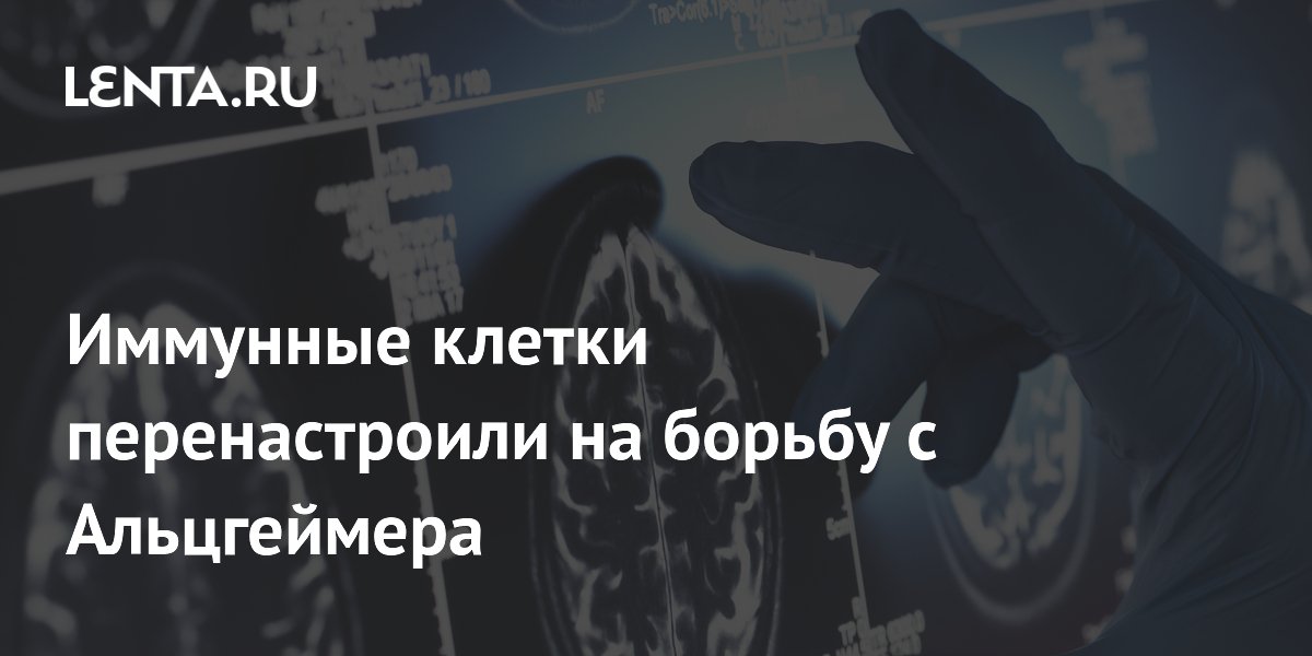 Preview Ученые адаптировали иммунотерапию рака для лечения болезни Альцгеймера