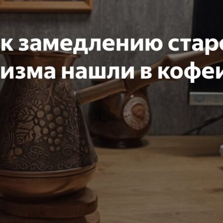 Ученые обнаружили связь кофеина с замедлением клеточного старения
