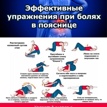 Простая привычка может защитить от хронической боли в пояснице