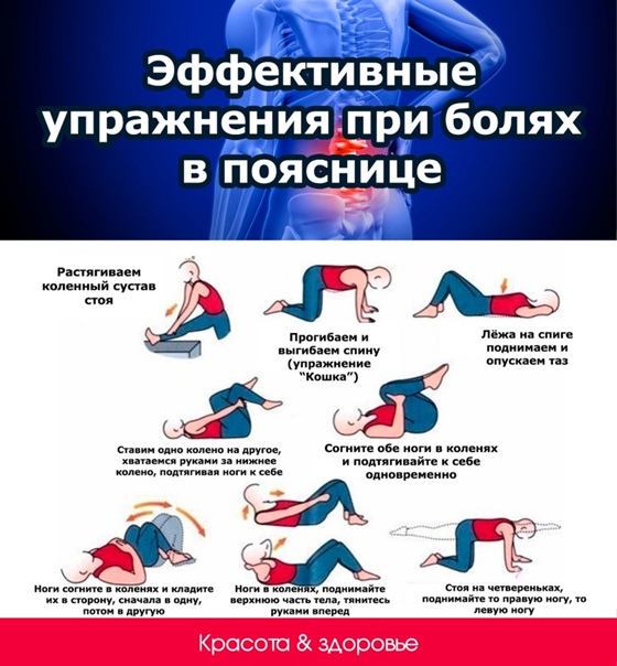 Preview Простая привычка может защитить от хронической боли в пояснице