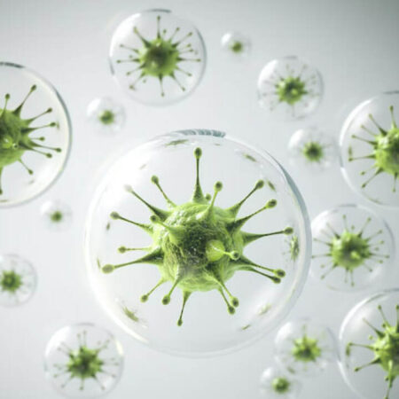 Ученые обнаружили ключ к остановке распространения герпеса