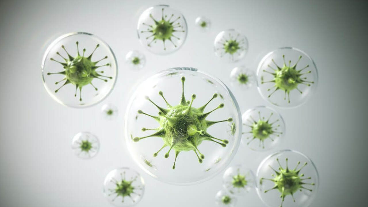 Preview Ученые обнаружили ключ к остановке распространения герпеса