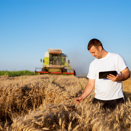 Аграрии смотрят за горизонт