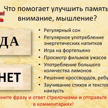 Раскрыт неожиданный механизм улучшения памяти