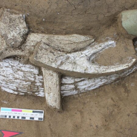 Старше на 10 тысяч лет. Выявлен истинный возраст стоянки древних охотников