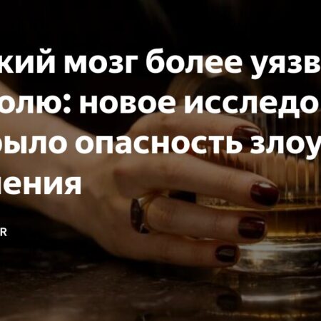 Новое исследование выявило опасность злоупотребления алкоголем для мозга