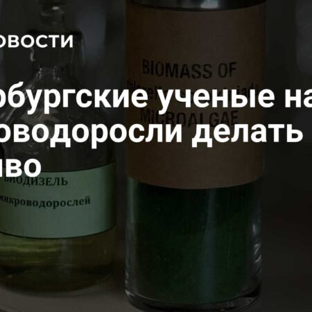 Петербургские ученые научили микроводоросли делать топливо