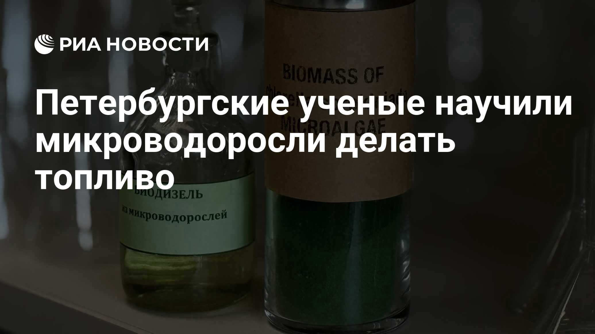 Preview Петербургские ученые научили микроводоросли делать топливо