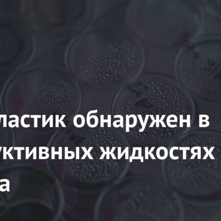 Микропластик обнаружен в репродуктивных жидкостях человека