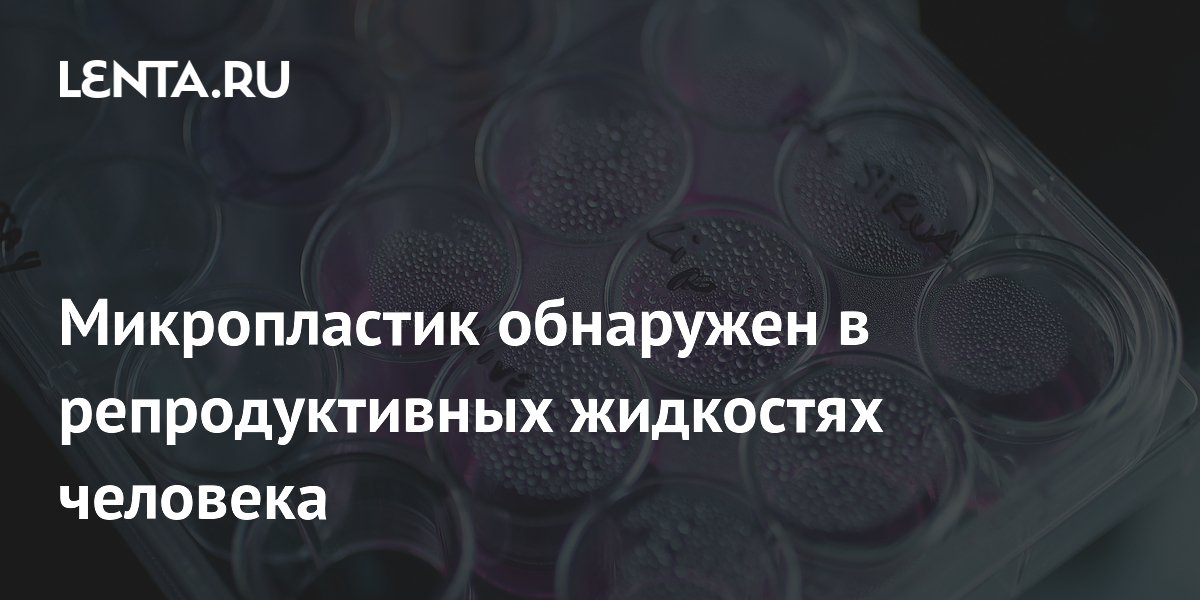 Preview Микропластик обнаружен в репродуктивных жидкостях человека