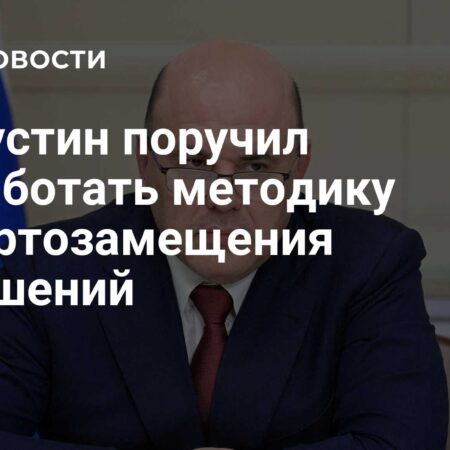 Михаил Мишустин поручил ускорить перевод отраслей на российское ПО