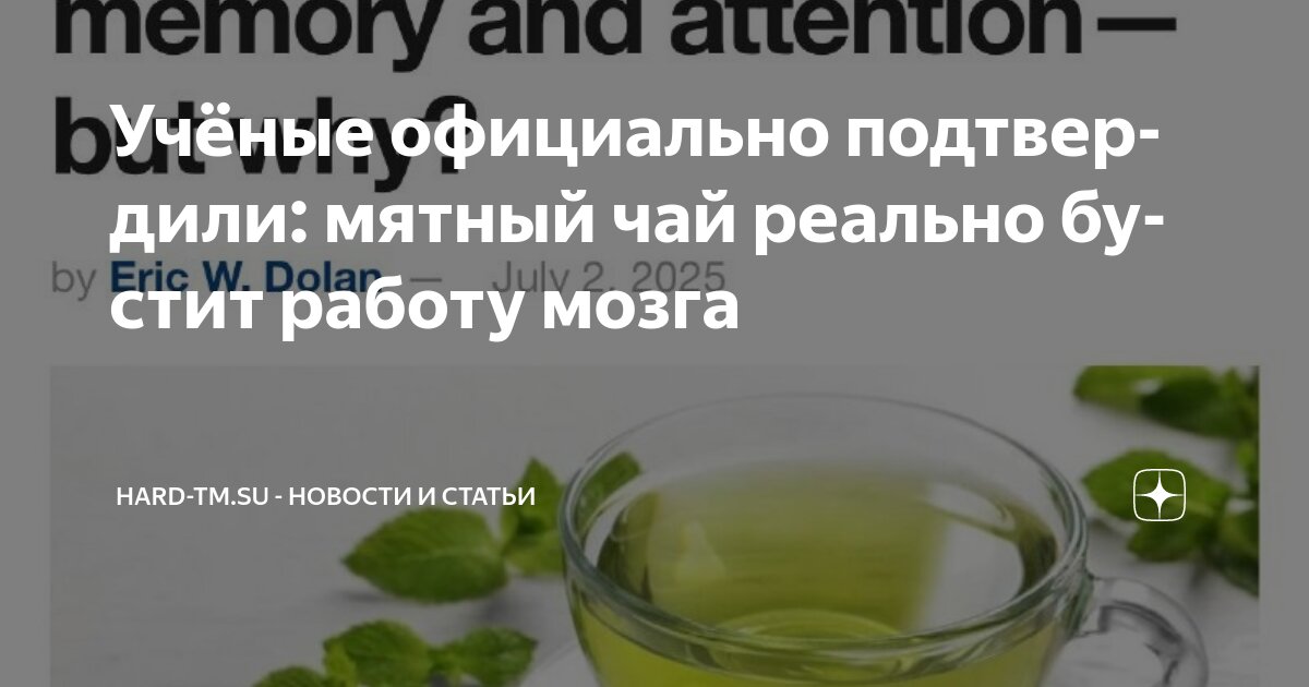 Preview Ученые выяснили неожиданную пользу мятного чая для работы мозга
