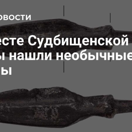 На месте Судбищенской битвы нашли необычные стрелы