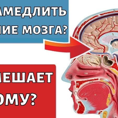 Музыка помогает замедлить старение мозга