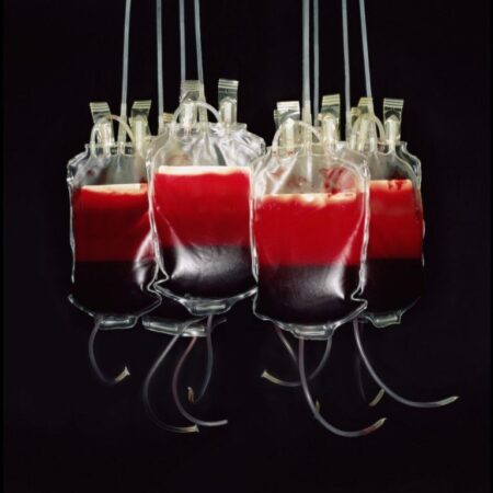 Прорыв в создании искусственной крови: найден ключ к массовому производству