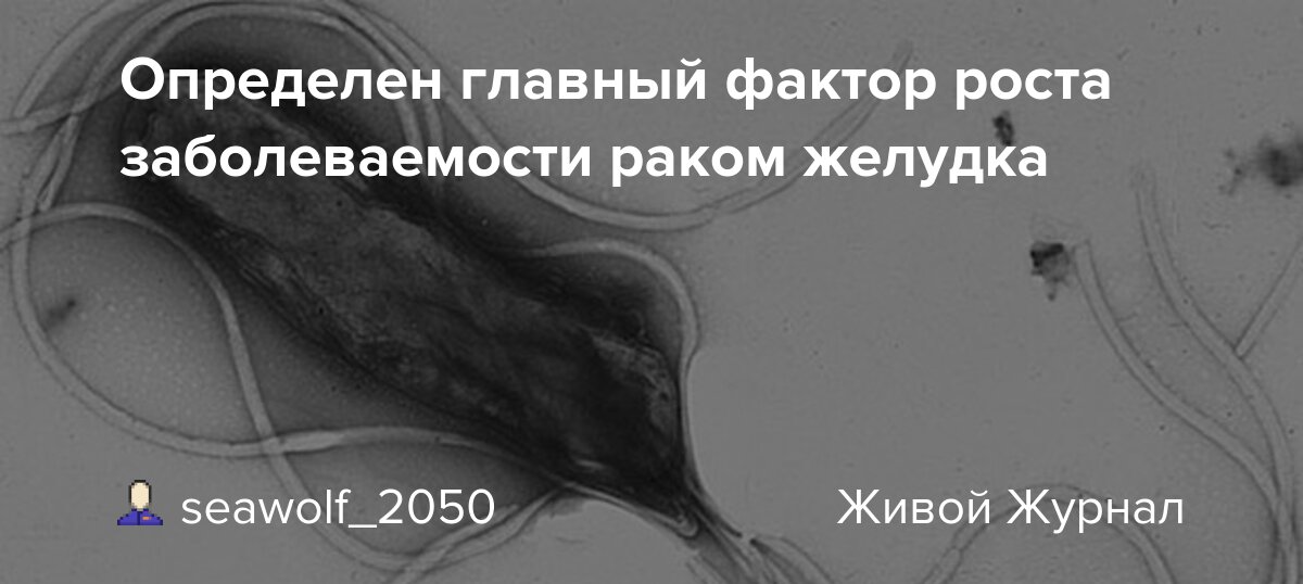 Preview Исследование назвало главную причину роста заболеваемости раком желудка