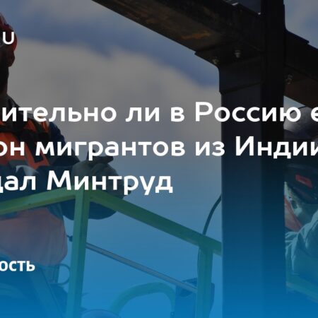 Минтруд опроверг «завоз» в Россию 1 млн мигрантов из Индии