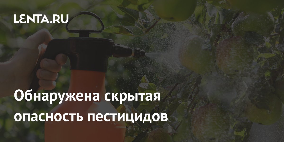 Preview Обнаружена скрытая опасность пестицидов