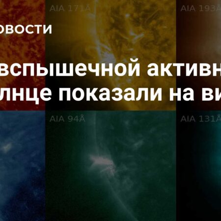 ИКИ РАН опубликовало видео, показывающее рост вспышечной активности на Солнце