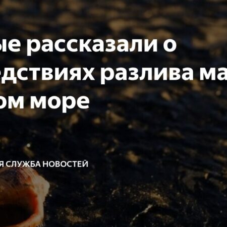 Экосистема Черного моря восстанавливается после разлива мазута, сообщают ученые