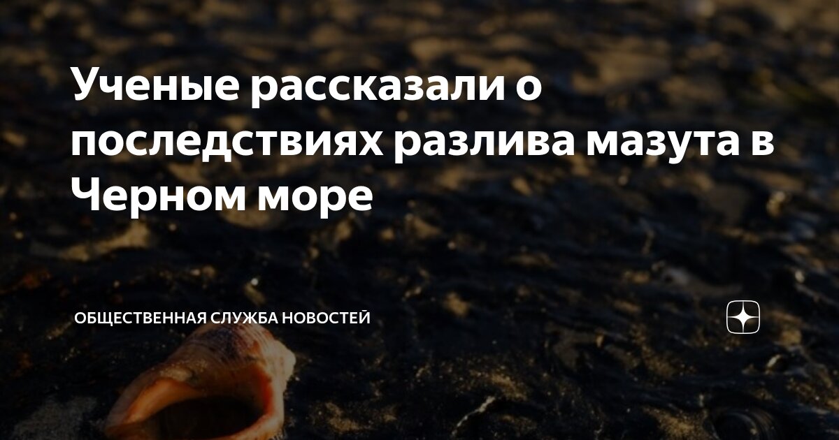 Preview Экосистема Черного моря восстанавливается после разлива мазута, сообщают ученые