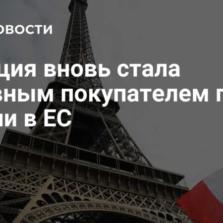 Франция лидирует по закупкам российского газа в Евросоюзе