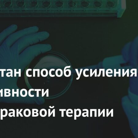 Новый микроб для усиления противораковой терапии: Открытие японских ученых