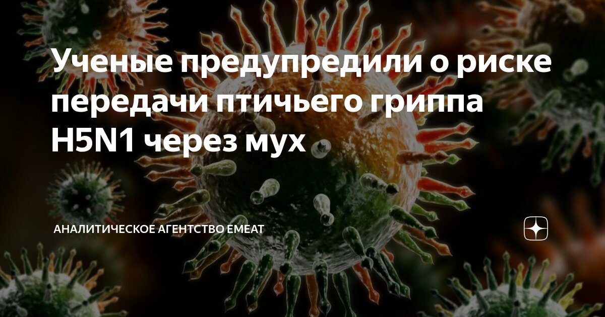 Preview Новое исследование: Мухи могут переносить вирус птичьего гриппа H5N1