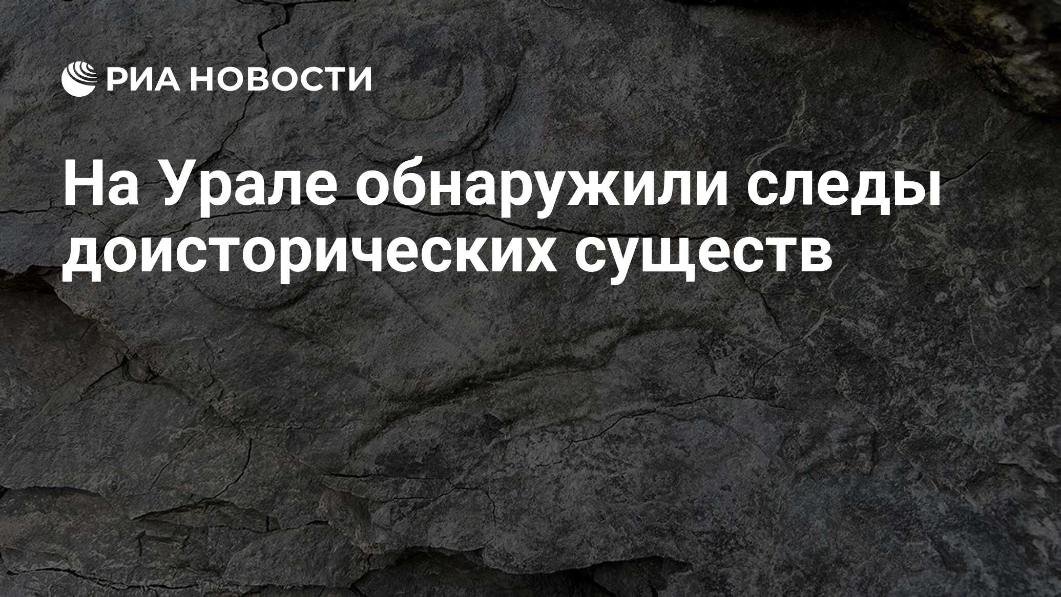 Preview Уникальные находки на Урале: следы первых многоклеточных организмов