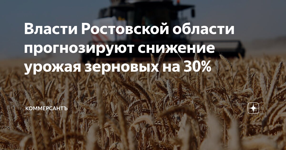 Preview Прогноз снижения урожая зерновых в Ростовской области на 30%