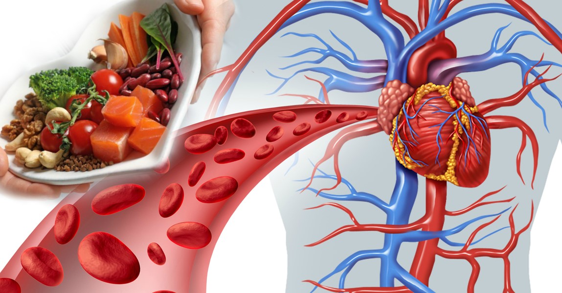 Preview Простой путь к здоровым сосудам: научное подтверждение