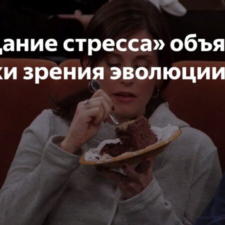 Эволюционное объяснение: Почему мы «заедаем» стресс высококалорийной пищей?