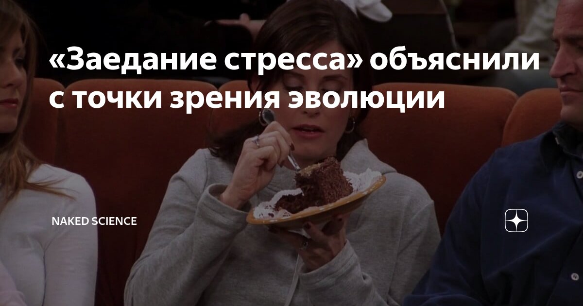 Preview Эволюционное объяснение: Почему мы «заедаем» стресс высококалорийной пищей?