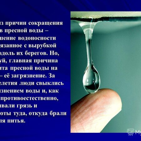 Катастрофическое сокращение запасов пресной воды: Угроза для планеты