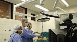 Preview Прорыв в лечении распространенного рака почки: Новая комбинированная терапия