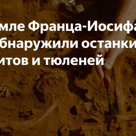 Уникальная Находка: Древние Киты и Тюлени на Земле Франца-Иосифа