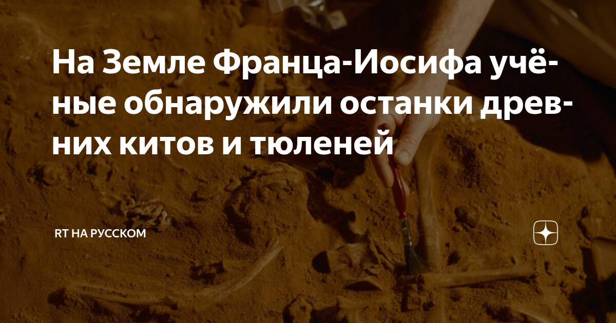 Preview Уникальная Находка: Древние Киты и Тюлени на Земле Франца-Иосифа