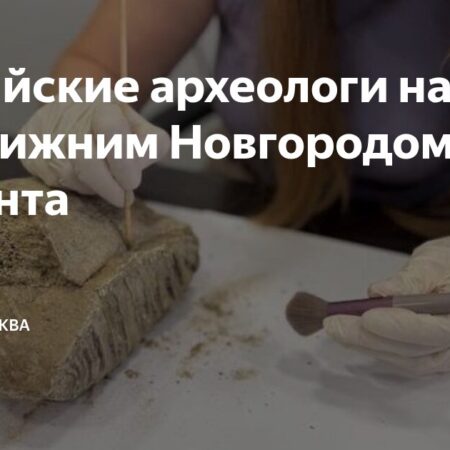 При раскопках в центре Нижнего Новгорода найден зуб мамонта