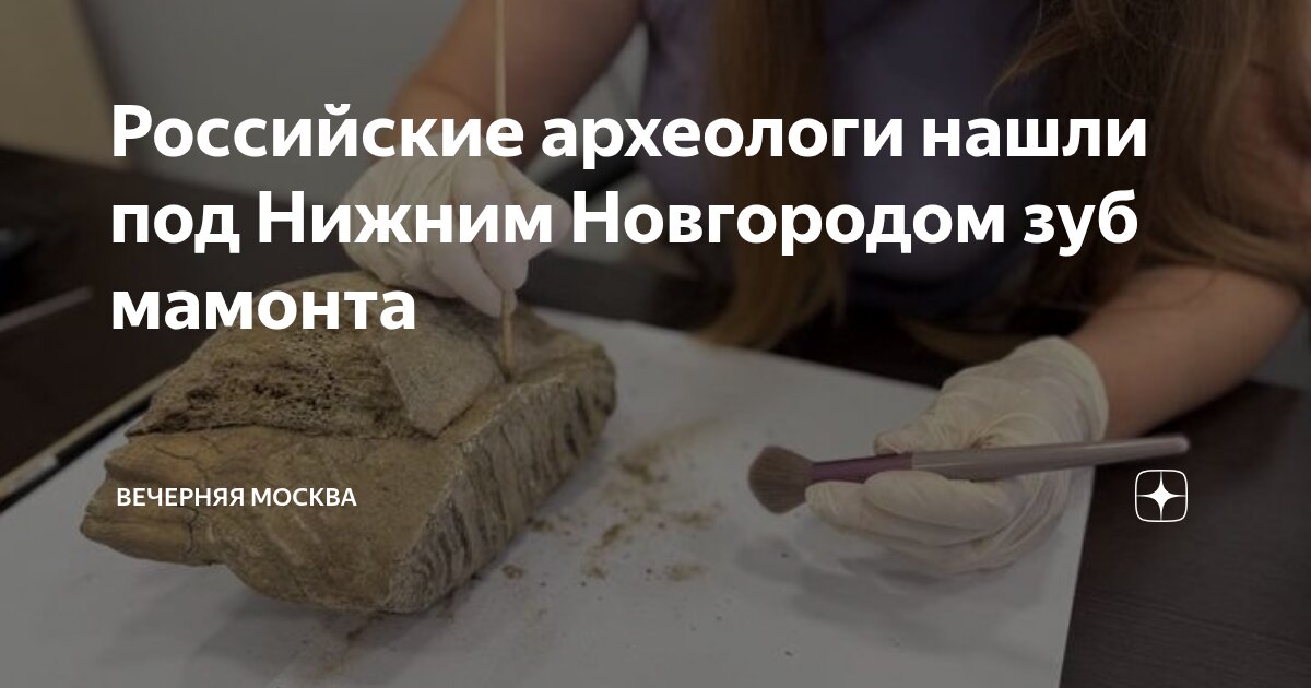 Preview При раскопках в центре Нижнего Новгорода найден зуб мамонта