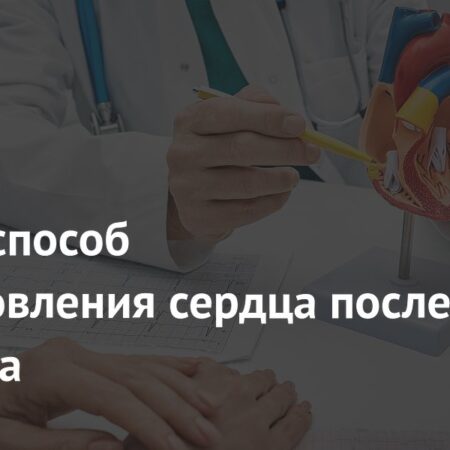 Открыт новаторский метод восстановления сердца после инфаркта