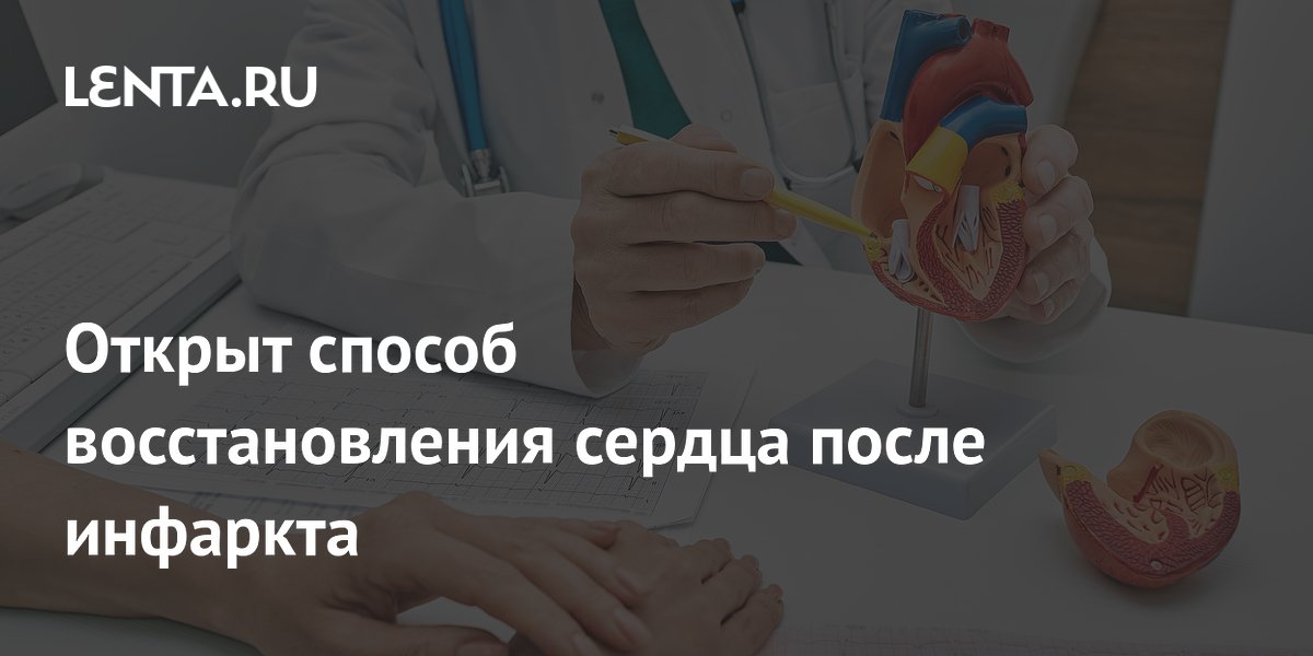 Preview Открыт новаторский метод восстановления сердца после инфаркта