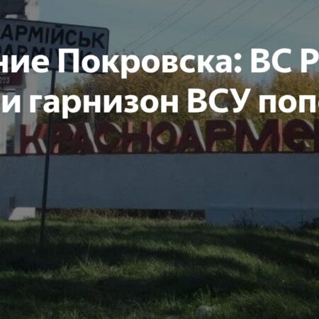 Прогресс поделят пополам