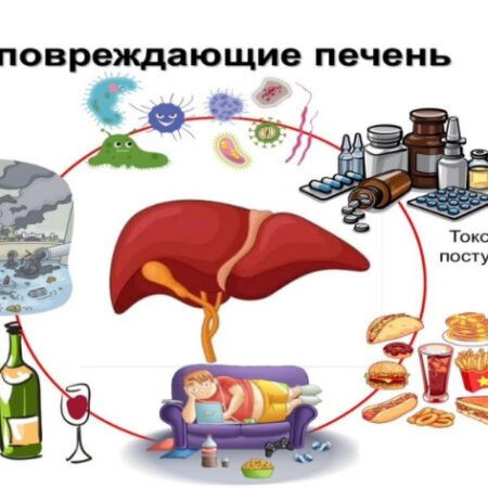 Открыт новый фактор, усугубляющий тяжелое поражение печени