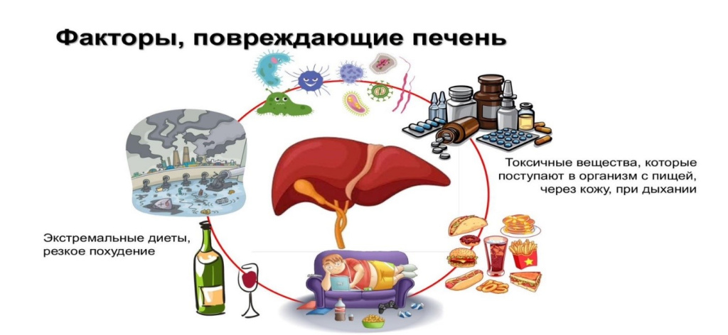 Preview Открыт новый фактор, усугубляющий тяжелое поражение печени