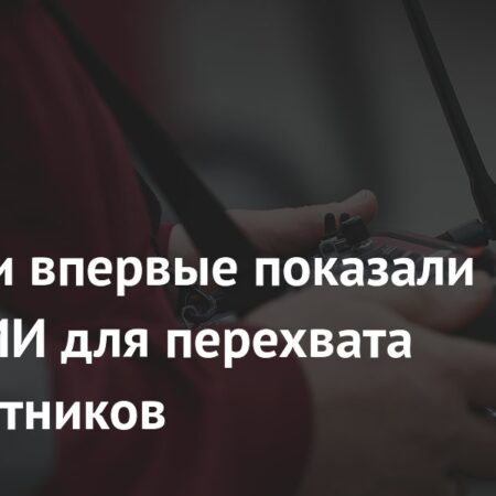 В России представлен перехватчик дронов «Скворец ПВО» с ИИ