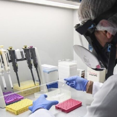 Китайские исследователи успешно борются с депрессией у мышей