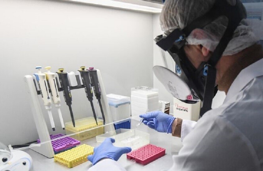 Preview Китайские исследователи успешно борются с депрессией у мышей