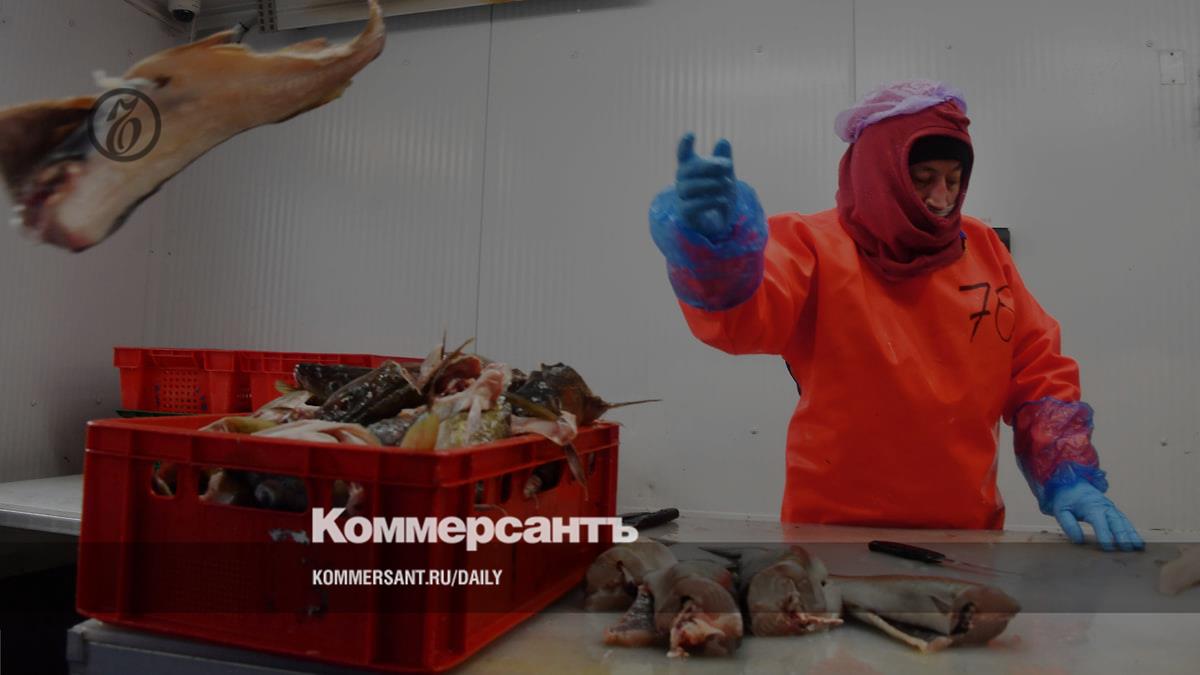 Preview Промышленность России: Углубление пессимизма и сокращение планов